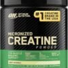 Optimum Nutrition Micronized Creatine Powder