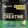 Optimum Nutrition Micronized Creatine Powder